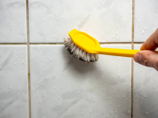 Best Best Mold Removal Companies  in Newark, NJ