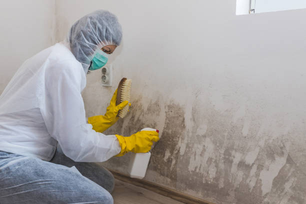 Best Crawl Space Mold Removal  in Newark, NJ