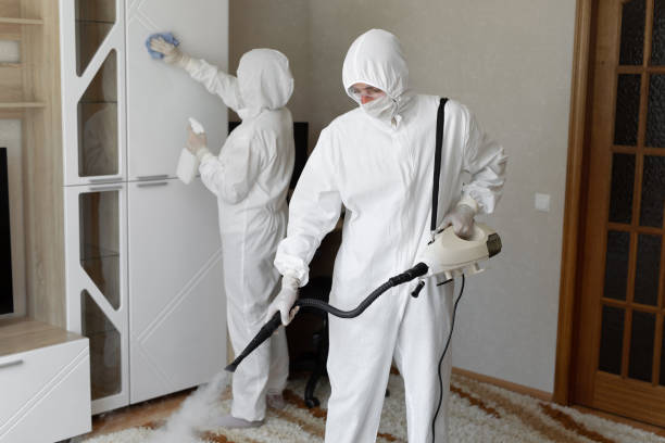 Professional Mold Removal in Newark, NJ