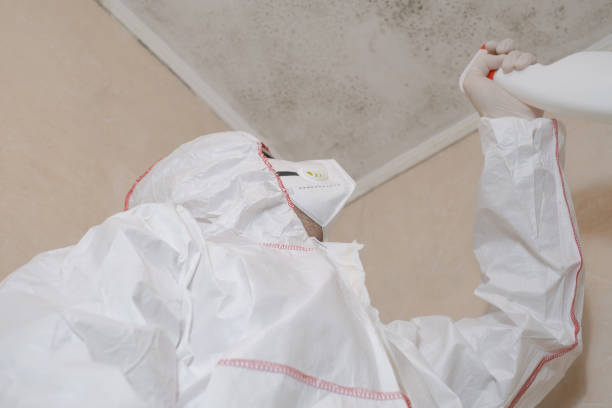 Best Mold Removal Near Me  in Newark, NJ